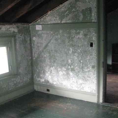 mansion, colorful, distressed, bohemian, funky, empty room, 