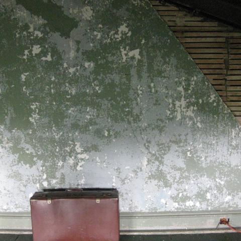 mansion, colorful, distressed, bohemian, funky, empty room, 