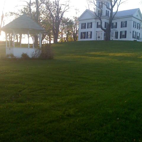 victorian, traditional, white, garden, 