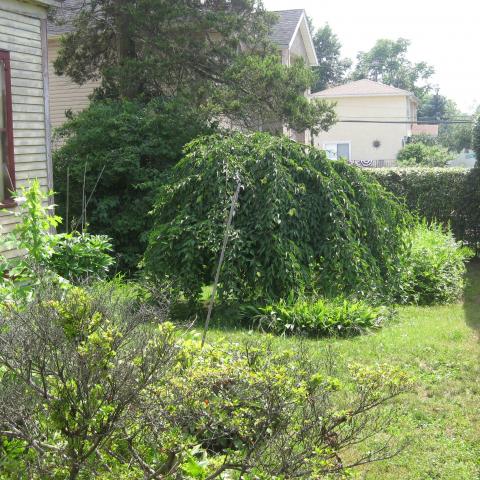 mansion, colorful, distressed, bohemian, funky, empty room, 