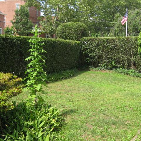 mansion, colorful, distressed, bohemian, funky, empty room, 