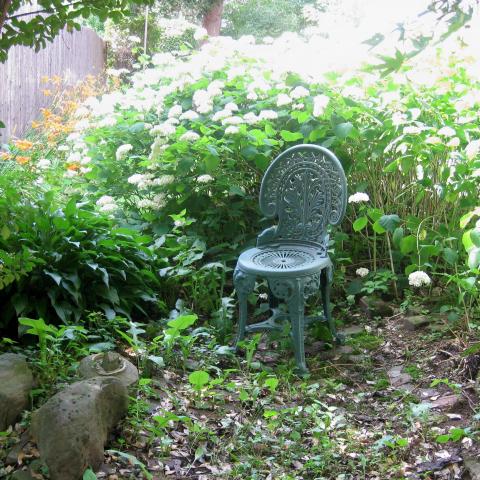 mansion, colorful, distressed, bohemian, funky, empty room, 