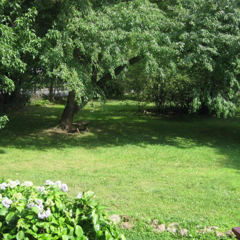 mansion, colorful, distressed, bohemian, funky, empty room, 