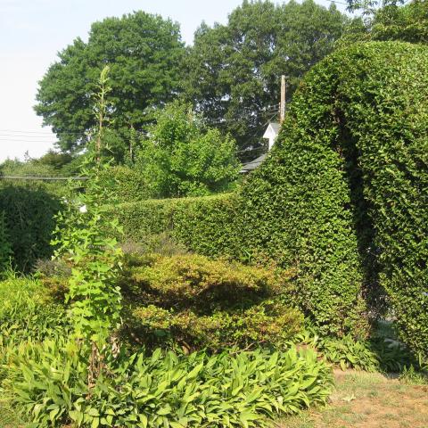 mansion, colorful, distressed, bohemian, funky, empty room, 