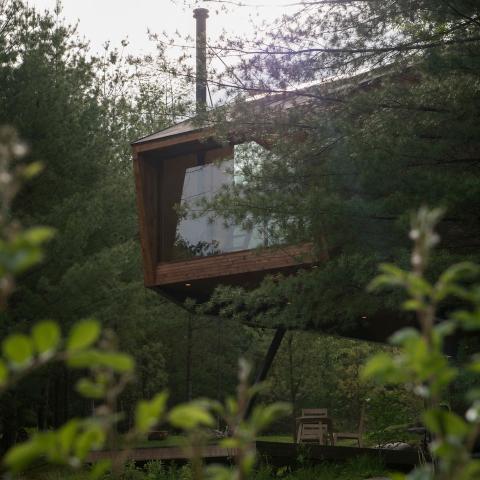 cabin, wooded, wood, pond, lake, glass, fireplace, 