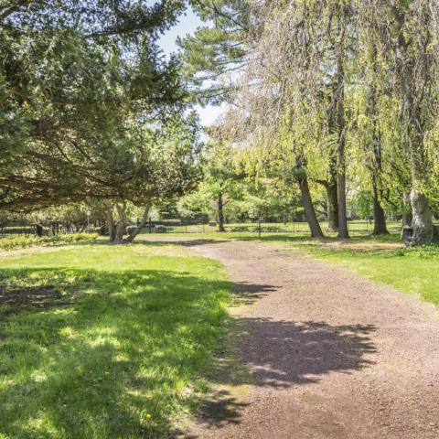 mansion, estate, empty room, traditional, grand, garden, 