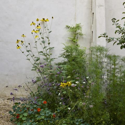 industrial, light, concrete, garden, textured walls, 