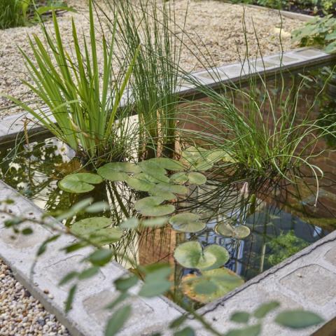 industrial, light, concrete, garden, textured walls, 