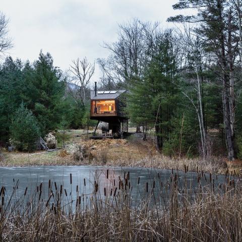 cabin, wooded, wood, pond, lake, glass, fireplace, 