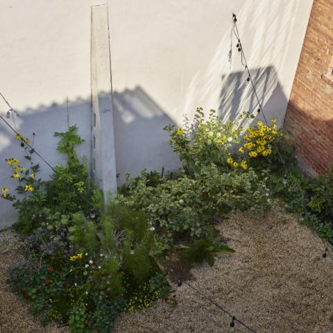 industrial, light, concrete, garden, textured walls, 