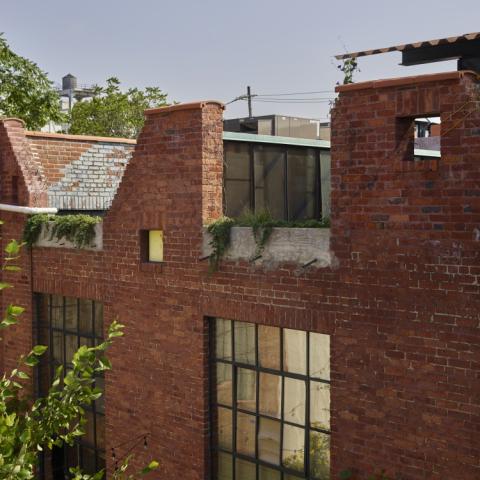 industrial, light, concrete, garden, textured walls, 