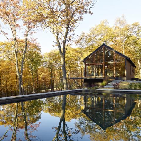 modern, contemporary, pool, wood, rustic, 