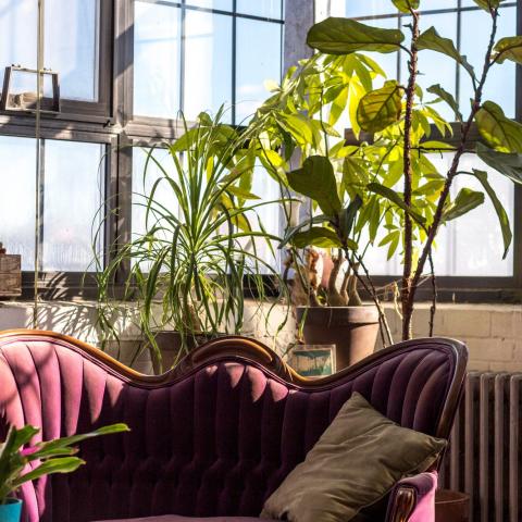 bohemian, funky, eclectic, rooftop, 