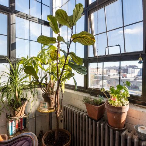 bohemian, funky, eclectic, rooftop, 