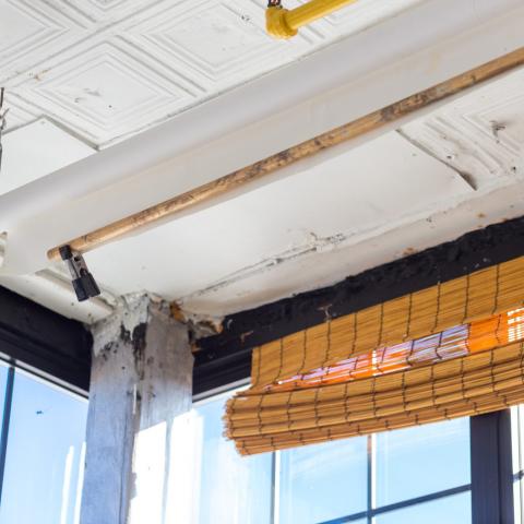 bohemian, funky, eclectic, rooftop, 