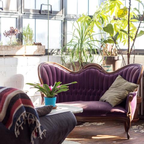 bohemian, funky, eclectic, rooftop, 