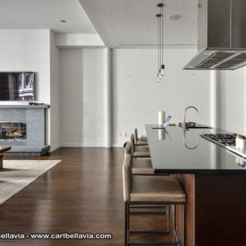 loft, apartment, contemporary, bathroom, kitchen, rooftop, 