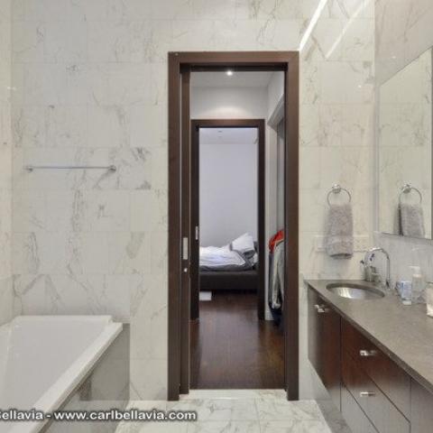 loft, apartment, contemporary, bathroom, kitchen, rooftop, 