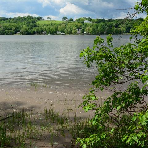 water, barn, rustic, 