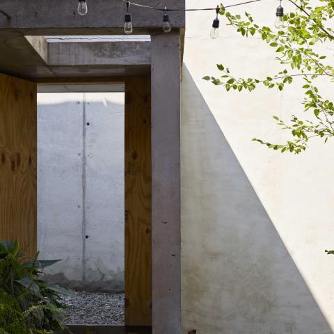 industrial, light, concrete, garden, textured walls, 