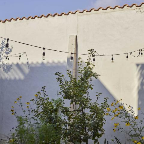 industrial, light, concrete, garden, textured walls, 