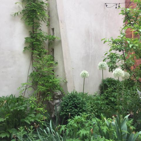 industrial, light, concrete, garden, textured walls, 