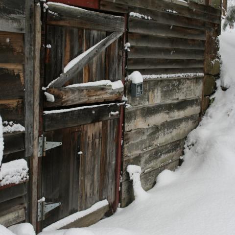 suburban, pool, garden, 