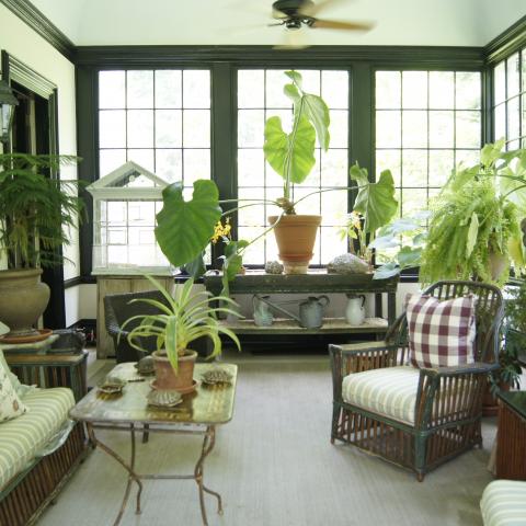 suburban, sunroom, garden, 