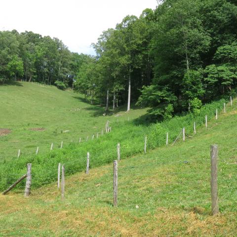 farm, farmhouse, field, water, pond, rural, stone, barn, Asheville, 