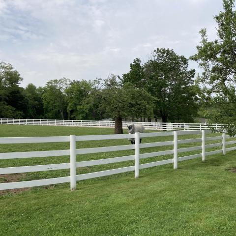 farm, stable, horse, pool, shingled, deck, kitchen, upscale, 