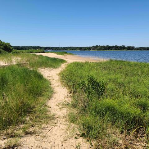 Hamptons, beach, water, deck, white, light, 
