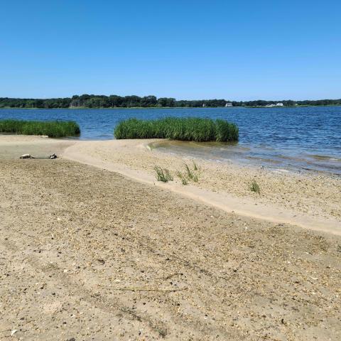 Hamptons, beach, water, deck, white, light, 