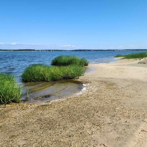 Hamptons, beach, water, deck, white, light, 