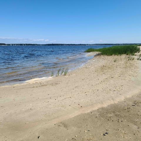 Hamptons, beach, water, deck, white, light, 