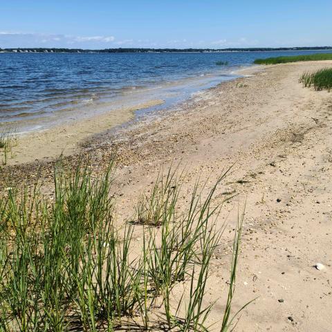 Hamptons, beach, water, deck, white, light, 