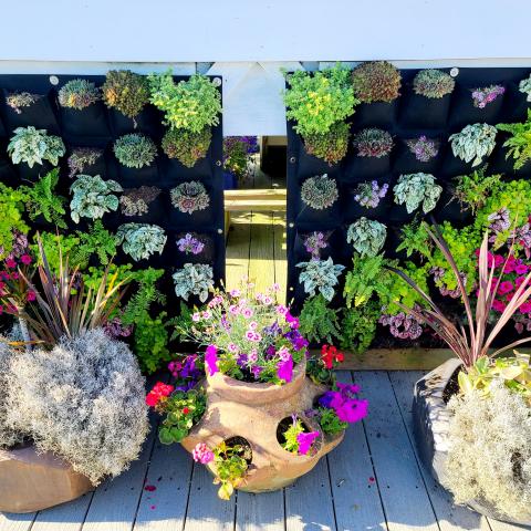 Hamptons, beach, water, white, light, deck, 