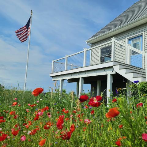 Hamptons, beach, water, white, light, deck, 