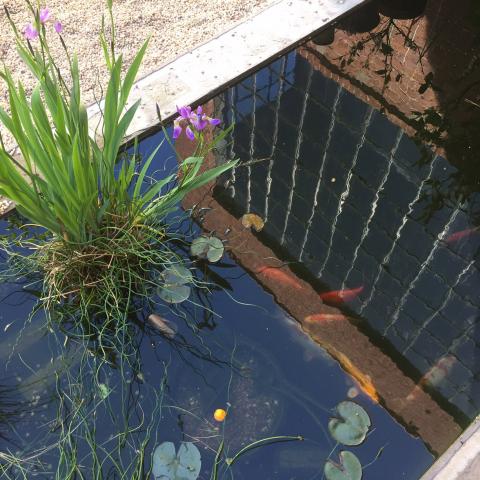 industrial, light, concrete, garden, textured walls, 