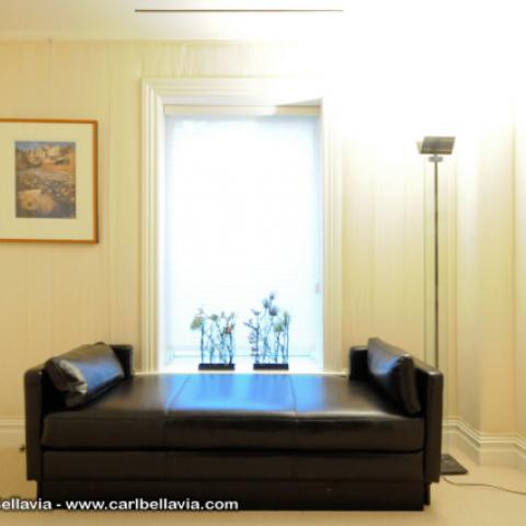 upscale, opulent, grand, traditional, townhouse, mansion, 