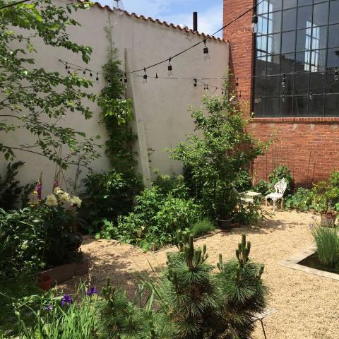 industrial, light, concrete, garden, textured walls, 