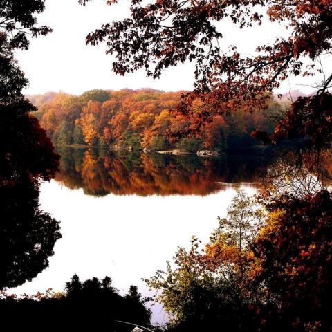 lake, rural, artist, water, colorful, 