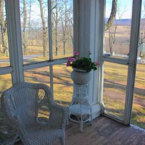 victorian, traditional, white, garden, 