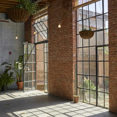 industrial, light, concrete, garden, textured walls, 