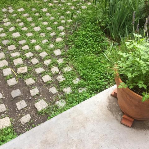 industrial, light, concrete, garden, textured walls, 