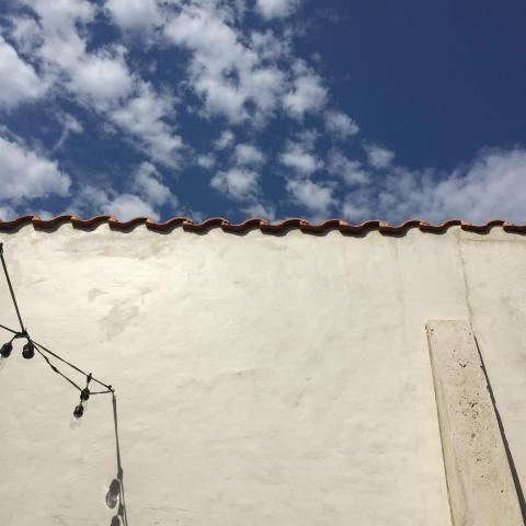 industrial, light, concrete, garden, textured walls, 