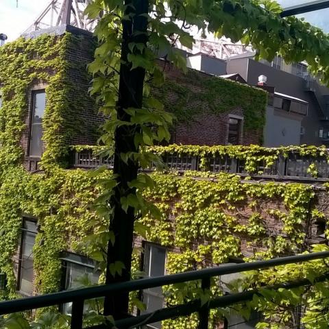 distressed, textured walls, industrial, 