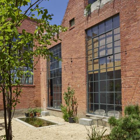 industrial, light, concrete, garden, textured walls, 