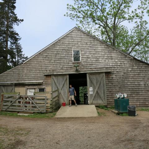 farm, farmhouse, stable, barn, 