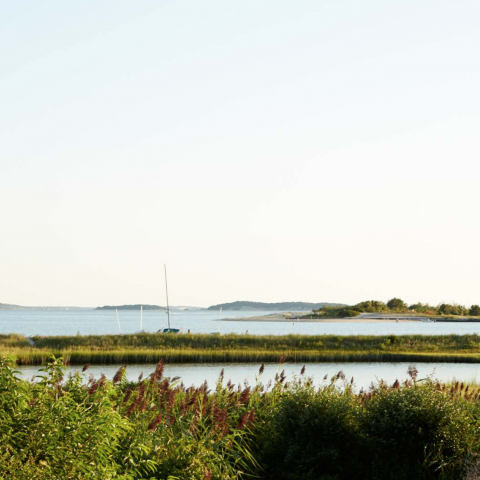 Hamptons, rustic, deck, pool, water, 