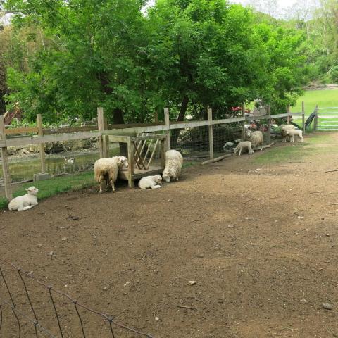 farm, farmhouse, stable, barn, 